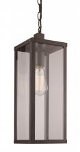  40757 BK - Oxford 19.5" Hanging Lantern